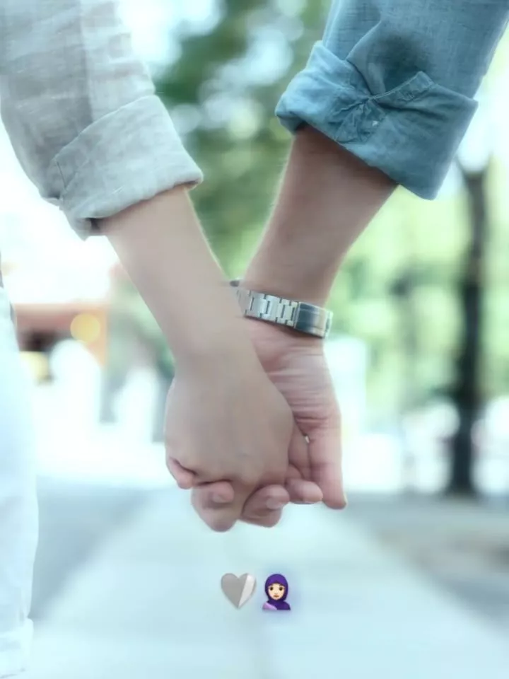 Humsafar CapCut Template 2026