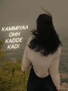 Nashe Si Chadh Gayi Capcut template